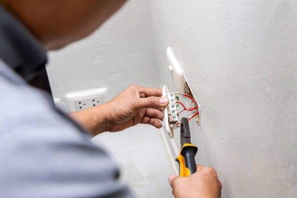 Best Electric Panel Repair  in Archer Lodge, NC